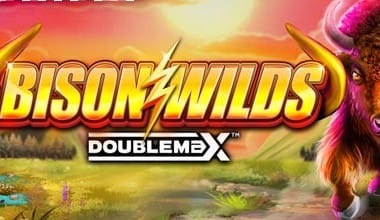 Bison Wilds DoubleMax